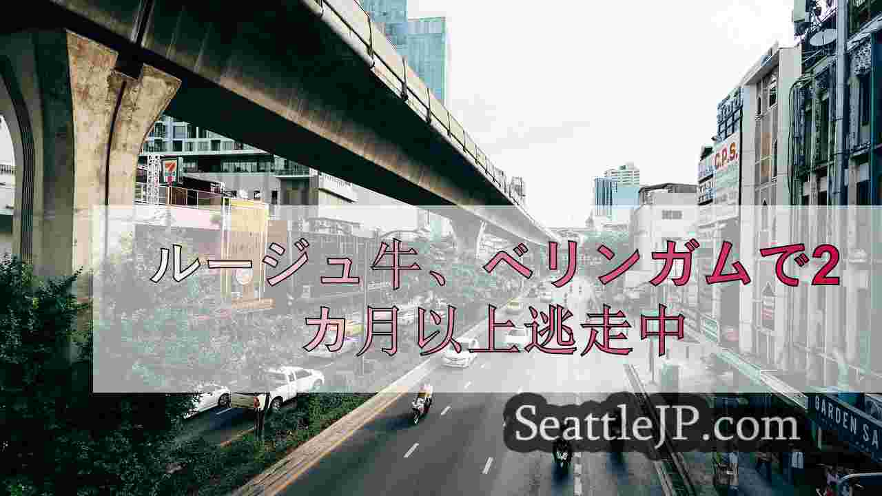 シアトルニュース SeattleJP