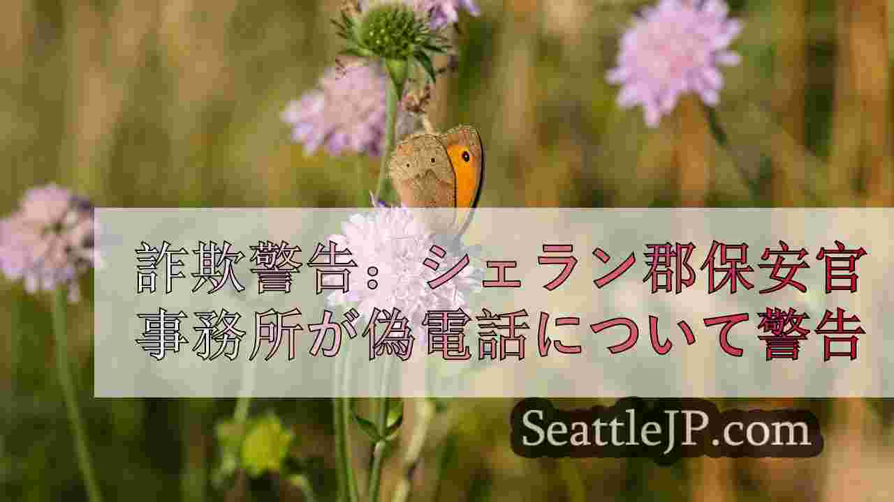 シアトルニュース SeattleJP