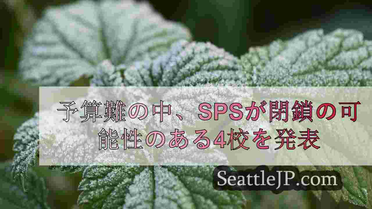 シアトルニュース SeattleJP