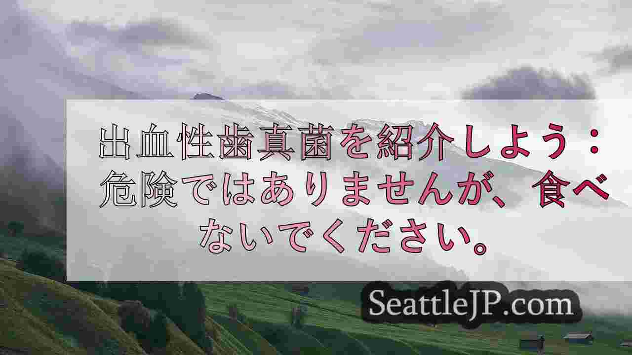 シアトルニュース SeattleJP