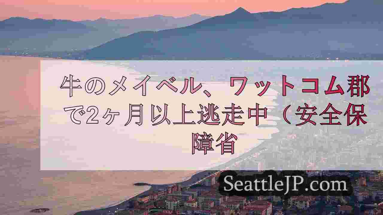 シアトルニュース SeattleJP