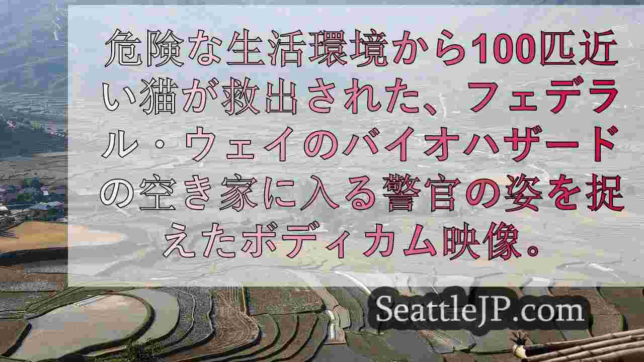 シアトルニュース SeattleJP