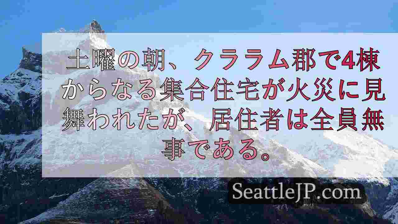 シアトルニュース SeattleJP