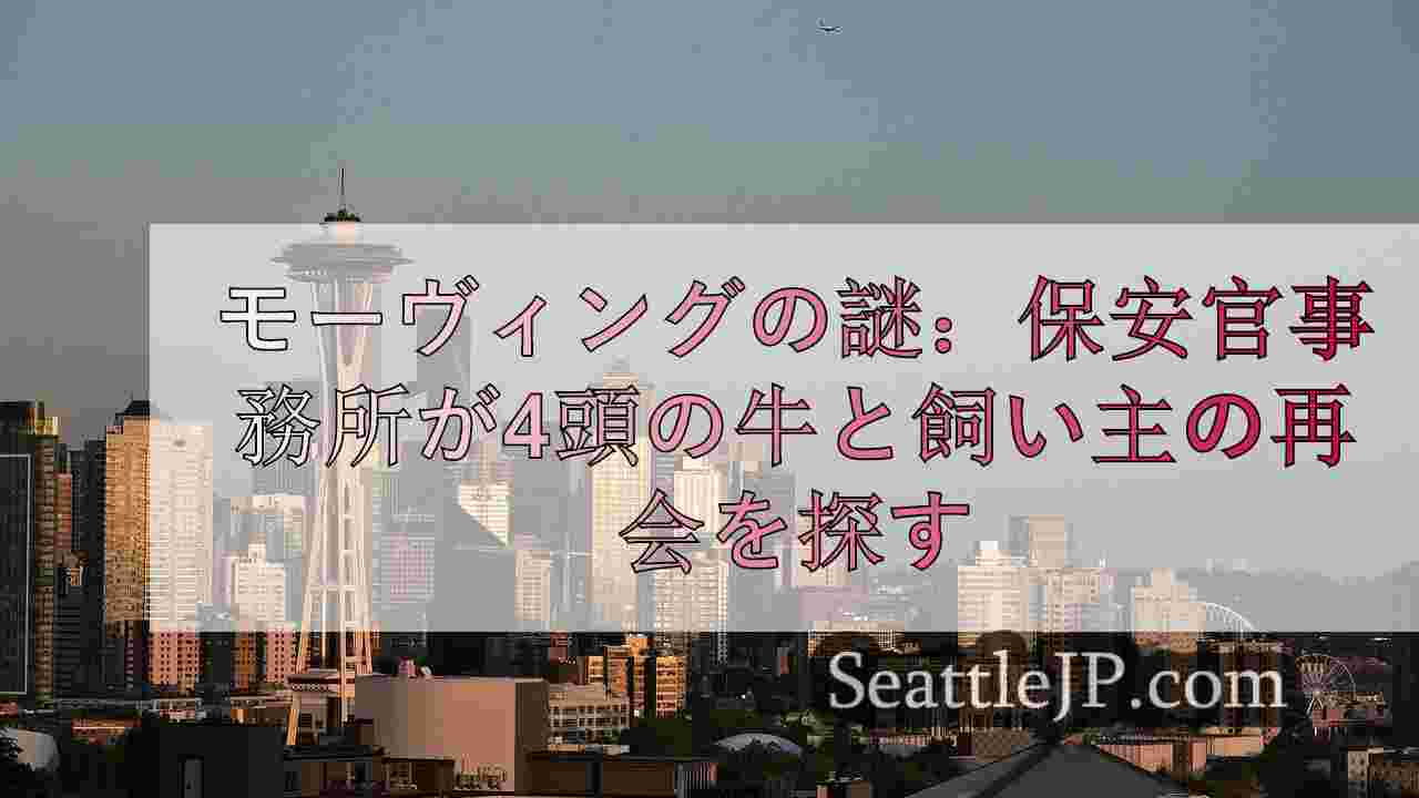 シアトルニュース SeattleJP