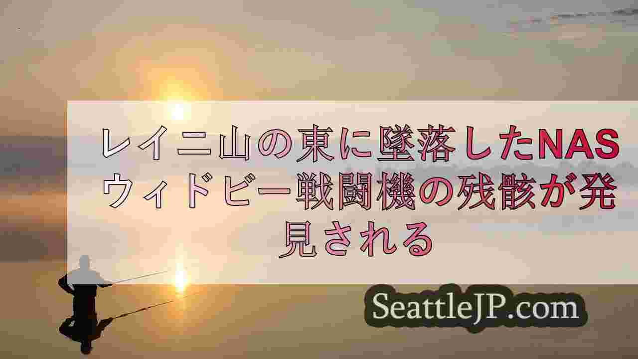 レーニア山の東に墜落したNASウィドビー戦闘機の残骸が発見される。