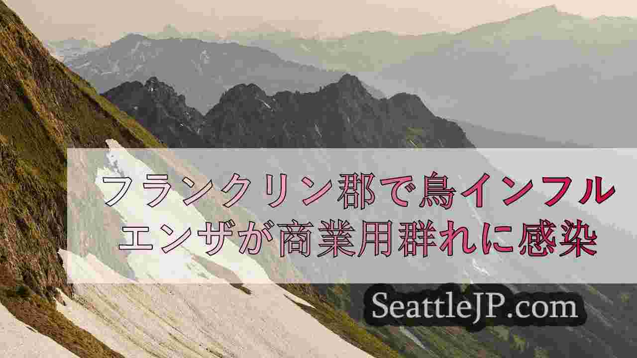 シアトルニュース SeattleJP