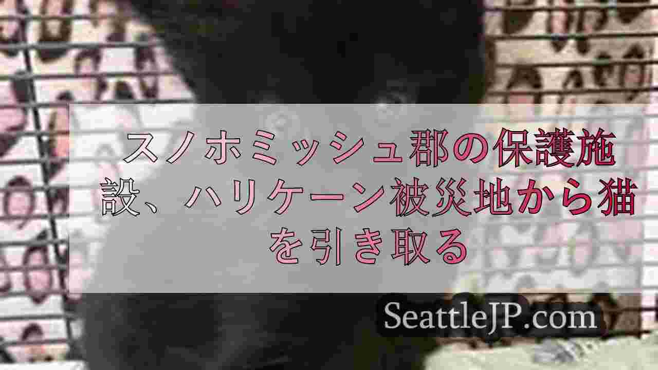 シアトルニュース SeattleJP