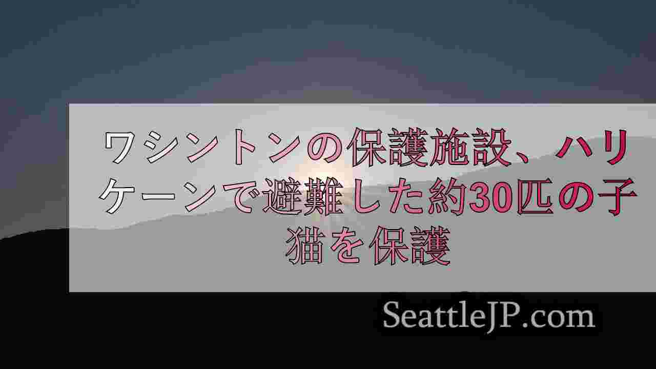 シアトルニュース SeattleJP