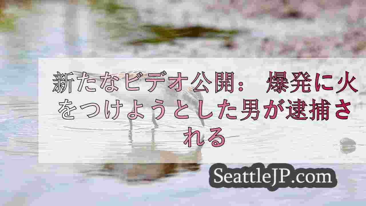 新たなビデオ公開 I-90で爆発物に火をつけようとした疑いで男を逮捕