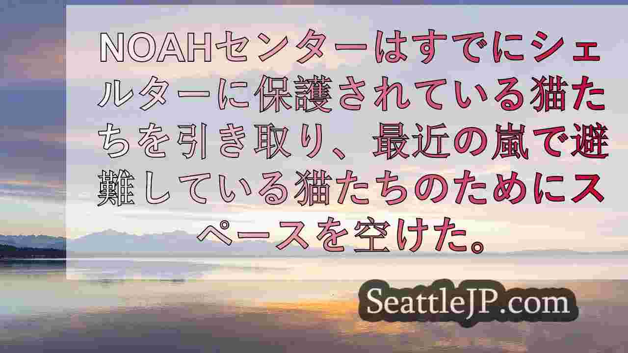 シアトルニュース SeattleJP