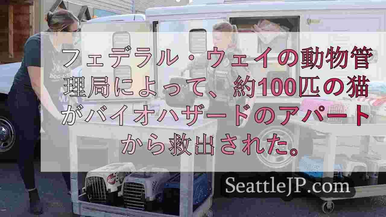 フェデラルウェイの「バイオハザード・アパート」から約100匹の猫を救出