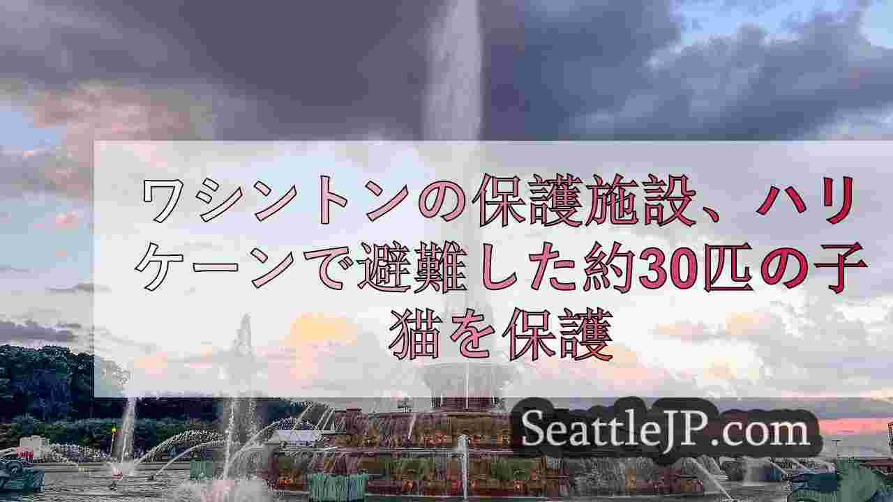 シアトルニュース SeattleJP
