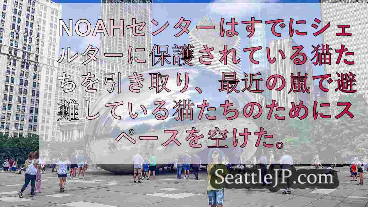 シアトルニュース SeattleJP