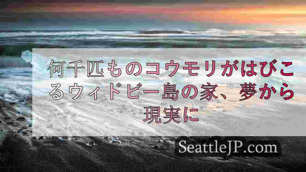 数千匹のコウモリがはびこるウィドビー島の家、夢が悪夢に変わる