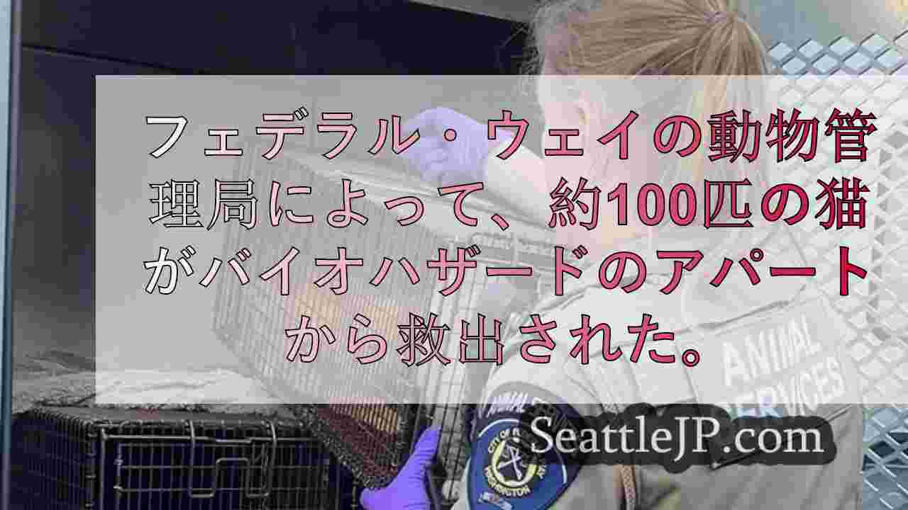 シアトルニュース SeattleJP