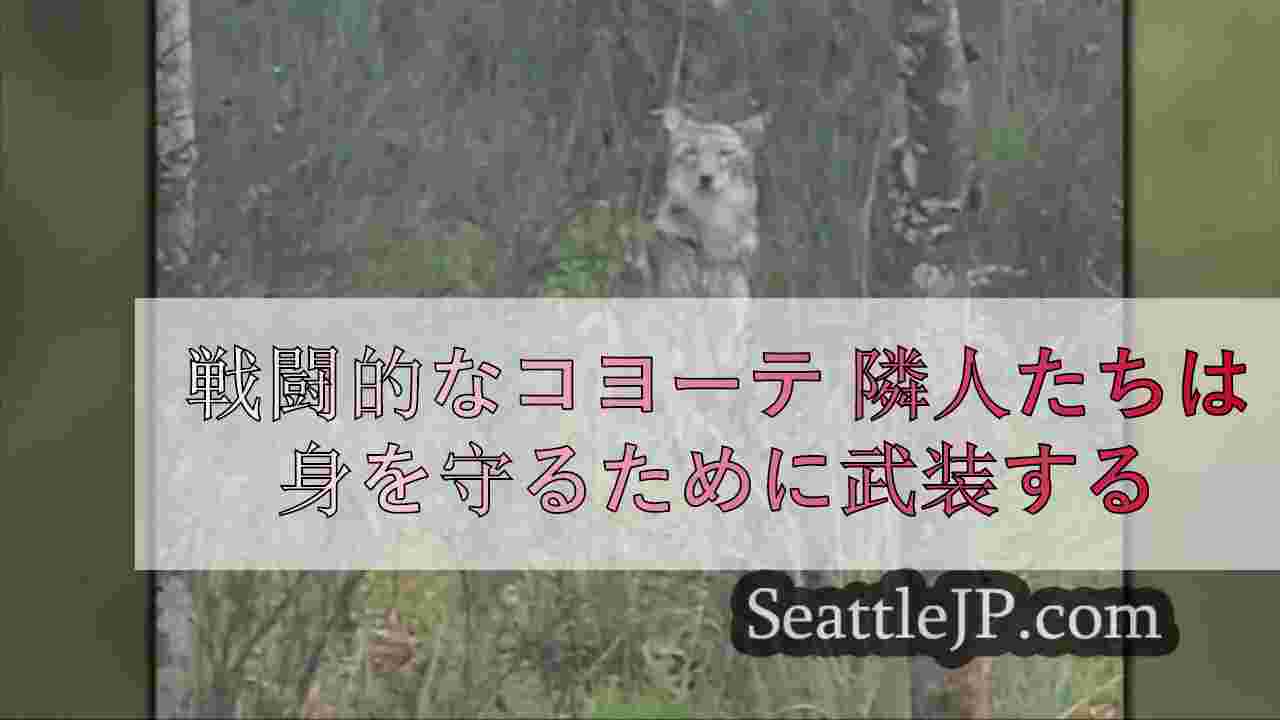 戦闘的なコヨーテ 隣人たちは身を守るために武装する