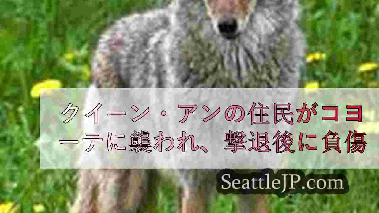 クイーン・アンの住民、飼い犬を襲うコヨーテを撃退し負傷