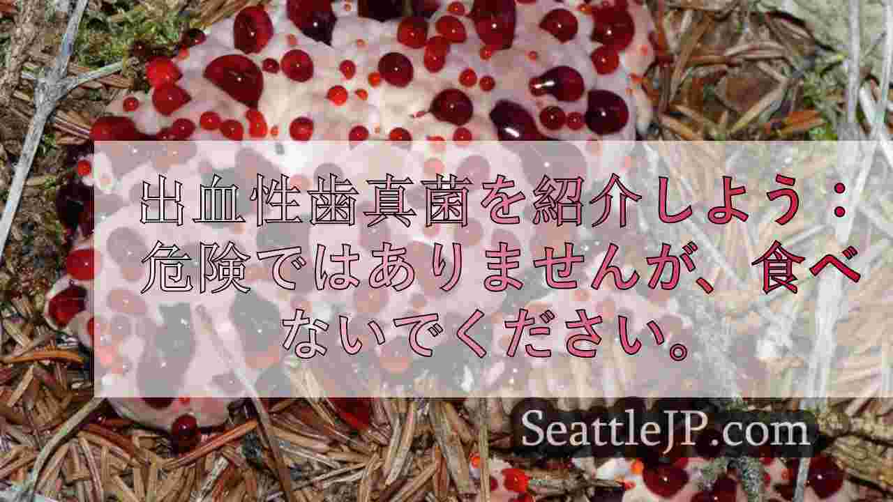 出血性歯真菌を紹介しよう： 危険ではありませんが、食べないでください。