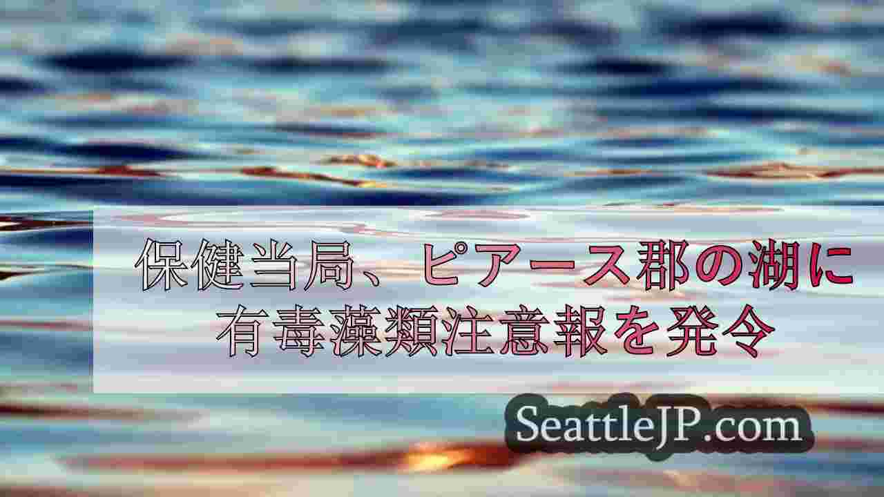 保健当局、ピアース郡の湖に有毒藻類注意報を発令