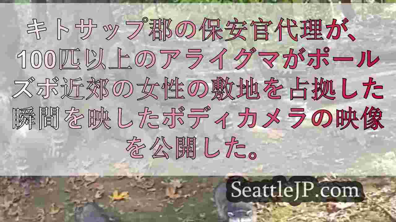 シアトルニュース SeattleJP
