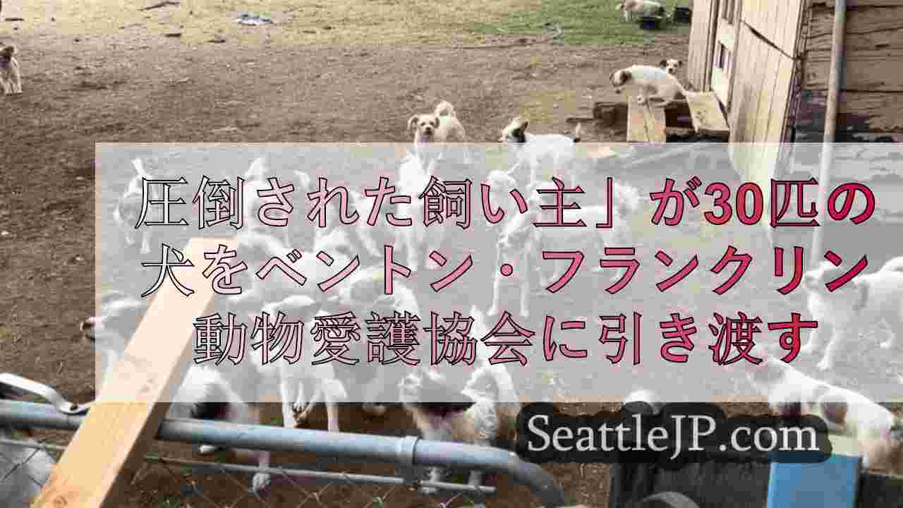 圧倒された飼い主」がベントン・フランクリン動物愛護協会に30匹の犬を引き渡す