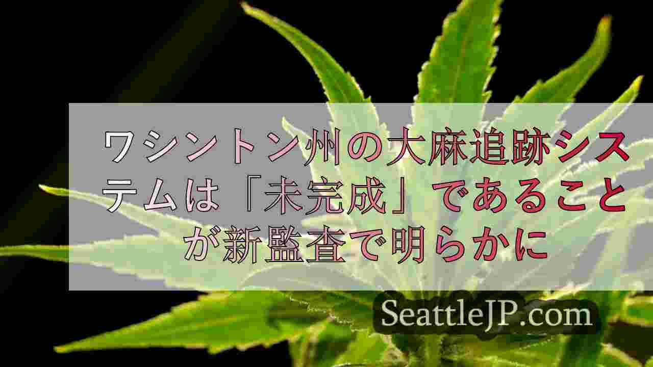 ワシントン州の大麻追跡システムは「まだ完全には実現されていない」ことが新たな監査