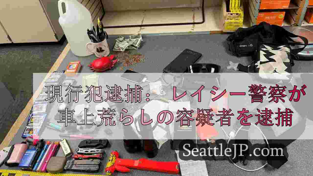 現行犯逮捕： レイシー警察が車上荒らしの容疑者を逮捕