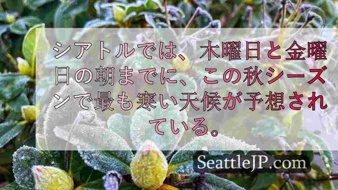 ワシントン州西部はこれまでで最も寒い秋の気温に備え、凍結注意報が発令されている。