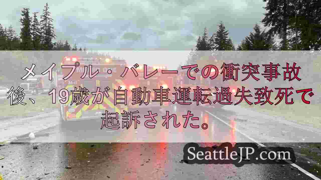 メイプル・バレーで幼児死亡、母親負傷の事故、19歳が自動車殺人で起訴される
