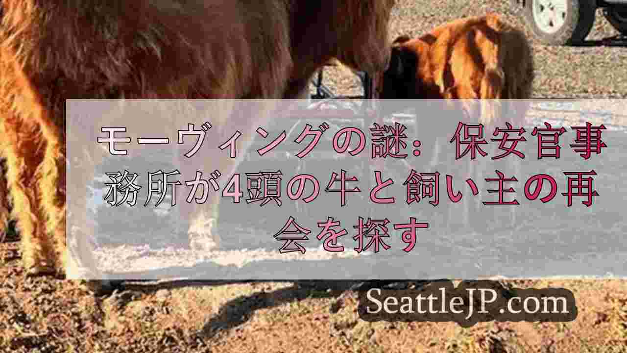 モーヴィングの謎：キティタス郡で4頭の牛と飼い主の再会を探す保安官事務所