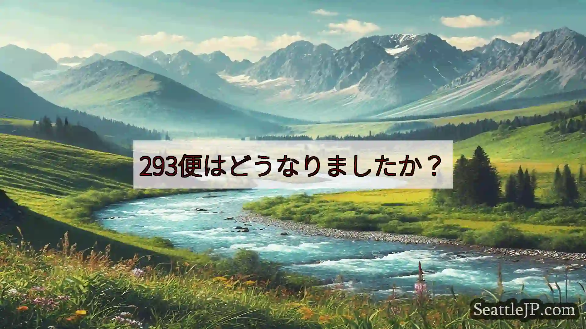 シアトルニュース 293便はどうなりましたか？