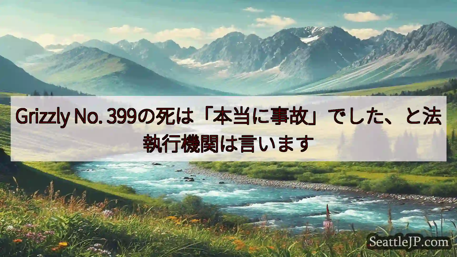 シアトルニュース Grizzly No.