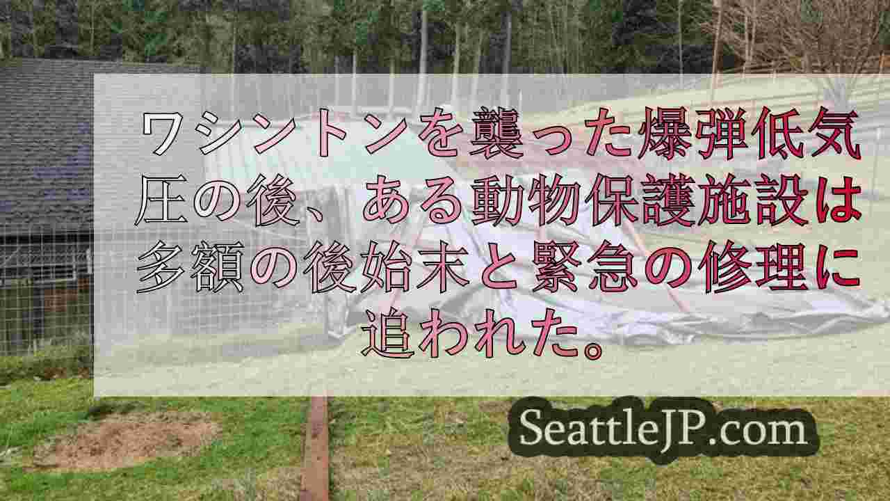 シアトルニュース SeattleJP