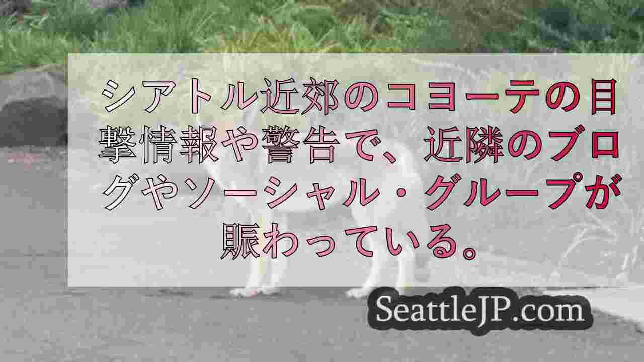 シアトルニュース SeattleJP