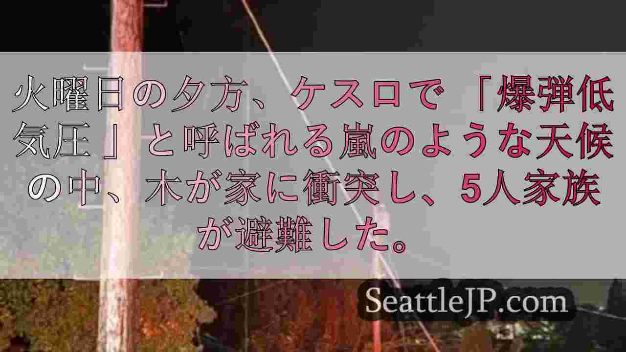 シアトルニュース SeattleJP