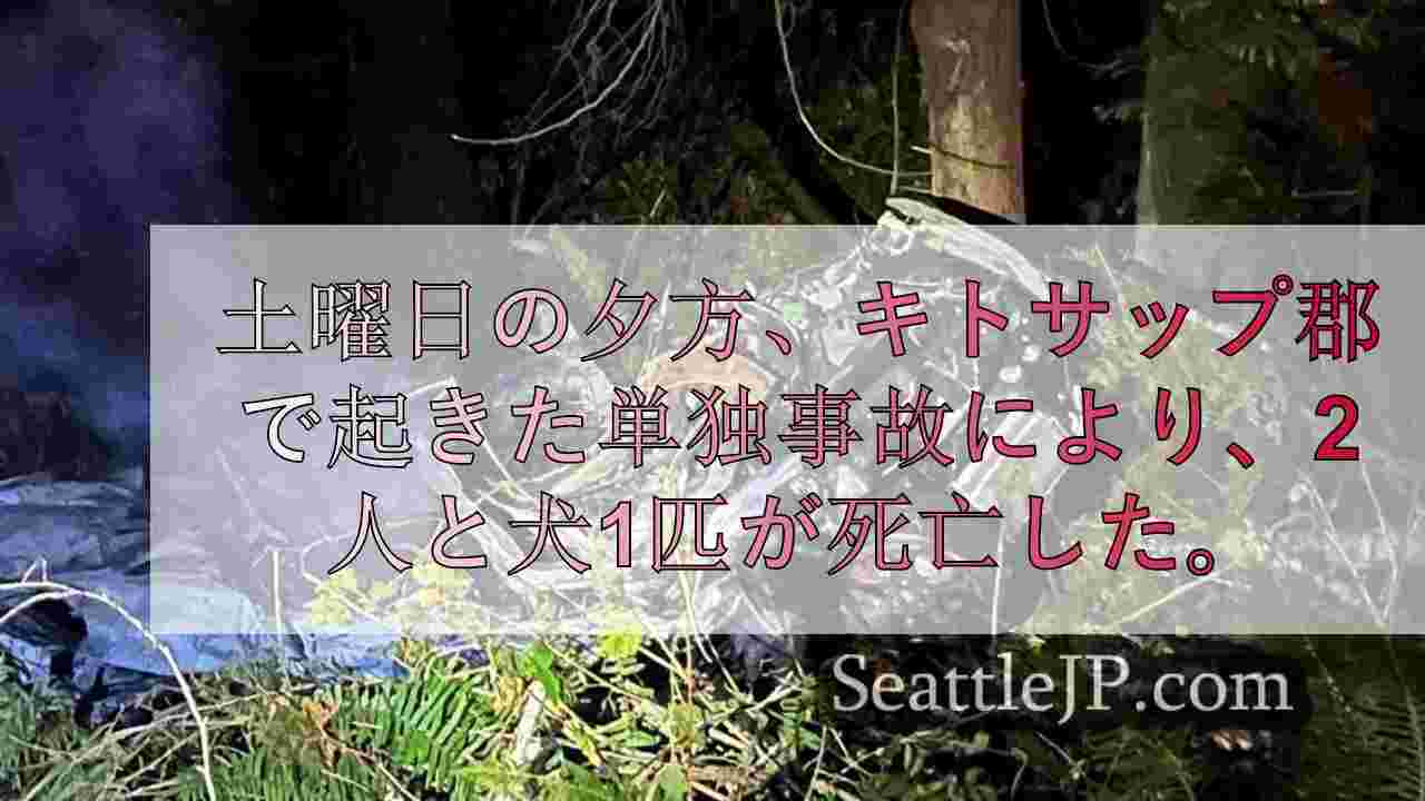 キトサップ郡で自動車事故、2人と犬が死亡