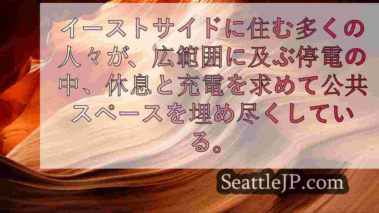 シアトルニュース SeattleJP