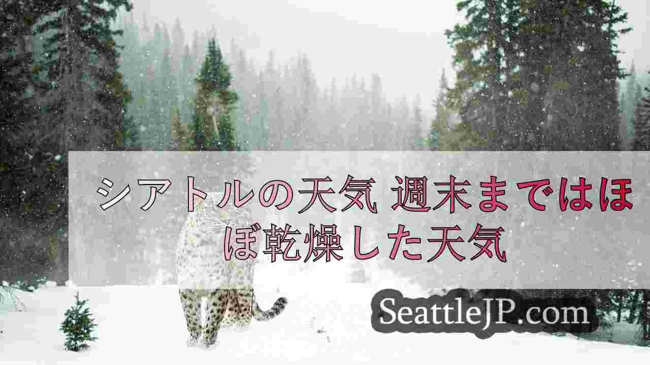 シアトルニュース SeattleJP