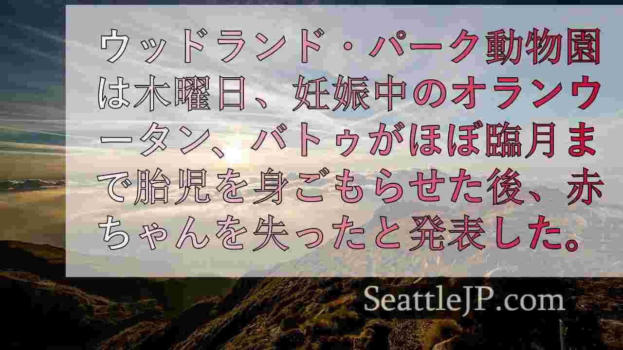 シアトルニュース SeattleJP