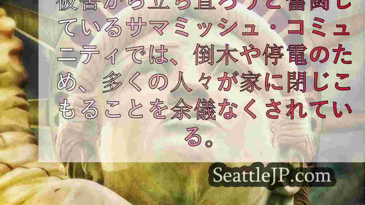 シアトルニュース SeattleJP