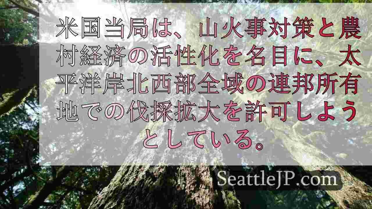 米国太平洋岸北西部の山火事抑制のため、さらなる伐採が提案されている。