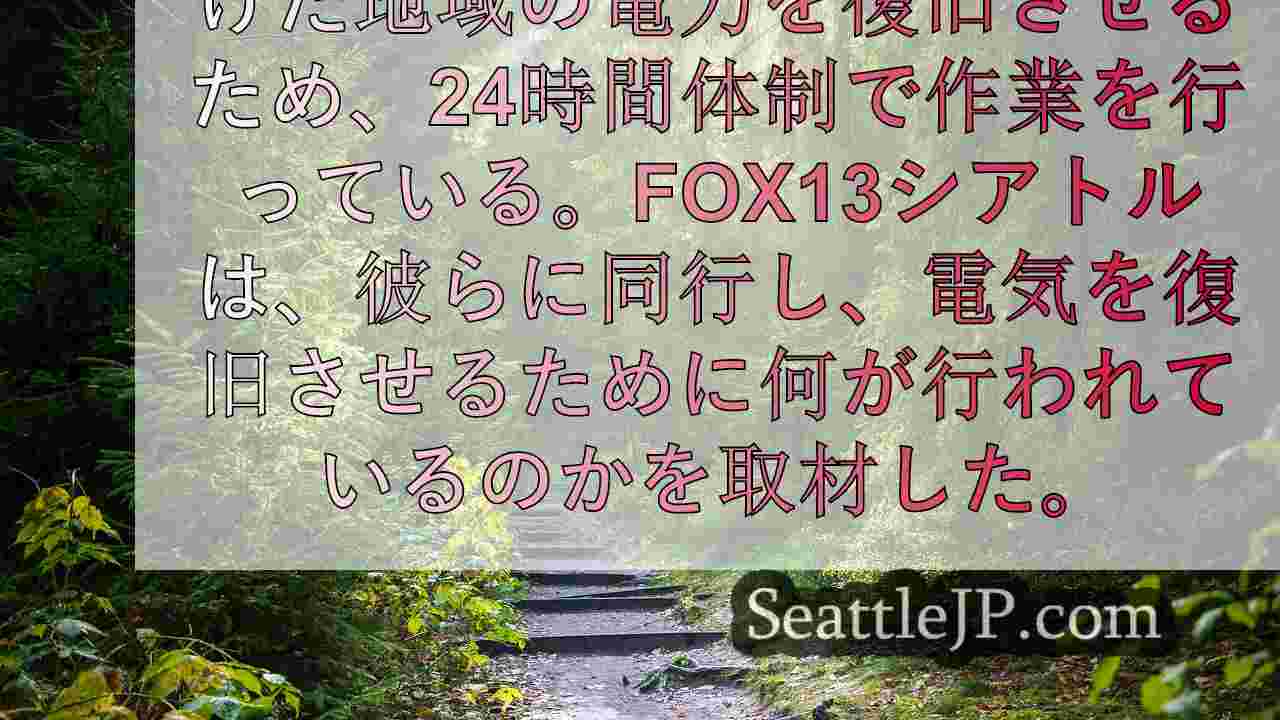 シアトルニュース SeattleJP