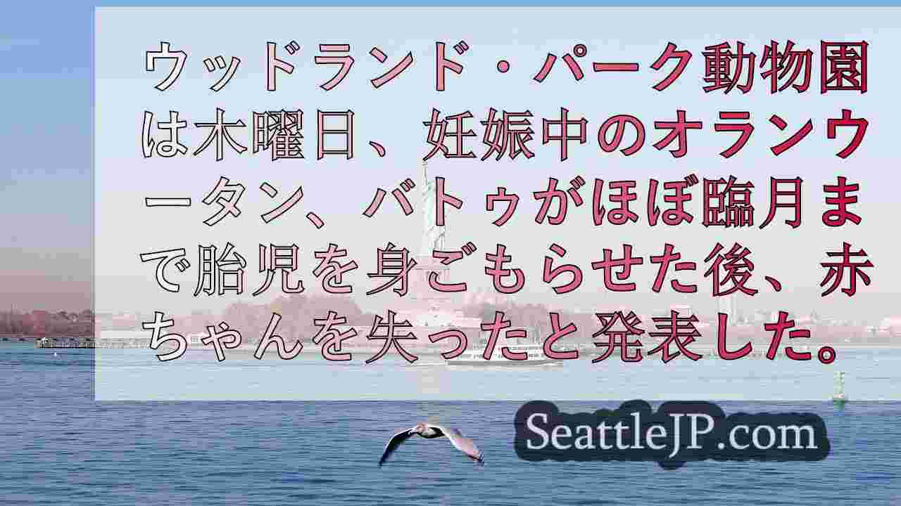 シアトルニュース SeattleJP