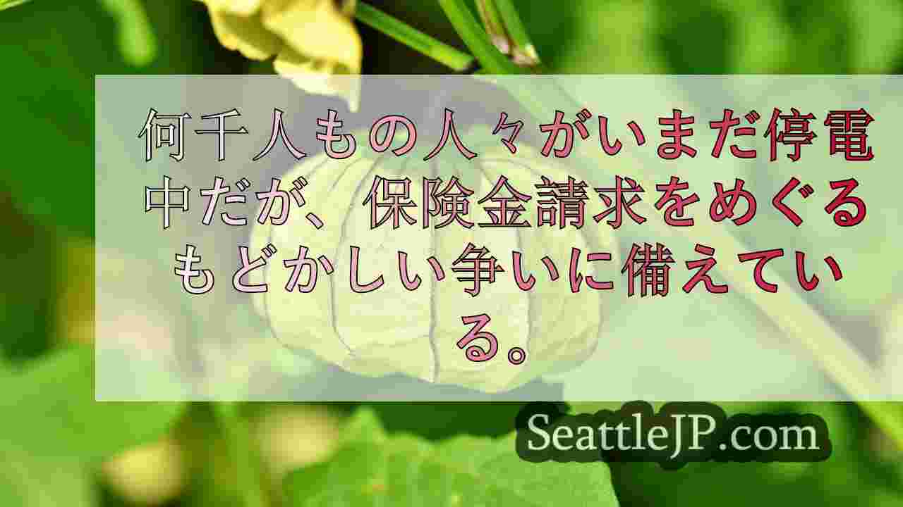シアトルニュース SeattleJP
