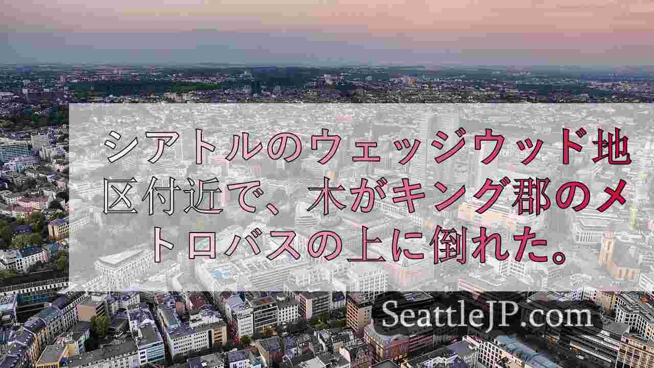 シアトルニュース SeattleJP