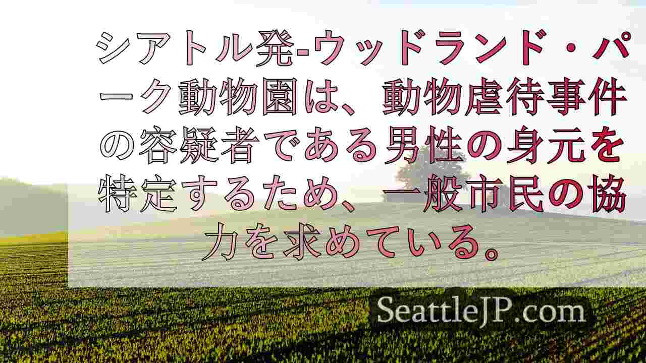 シアトルニュース SeattleJP