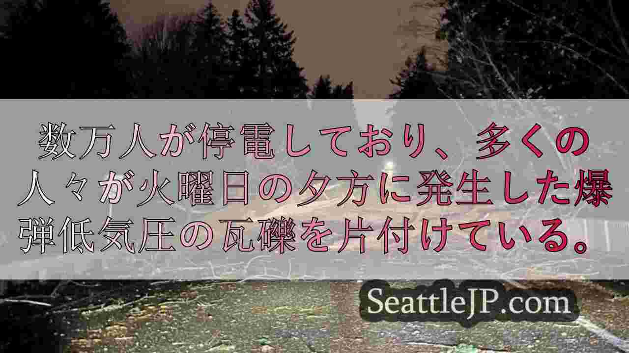 マーサー・アイランドの企業、サイクロン後の電力復旧に対応