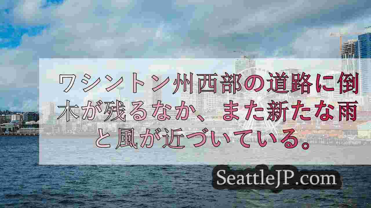WA州西部で倒木を除去する作業員、さらなる強風に備える