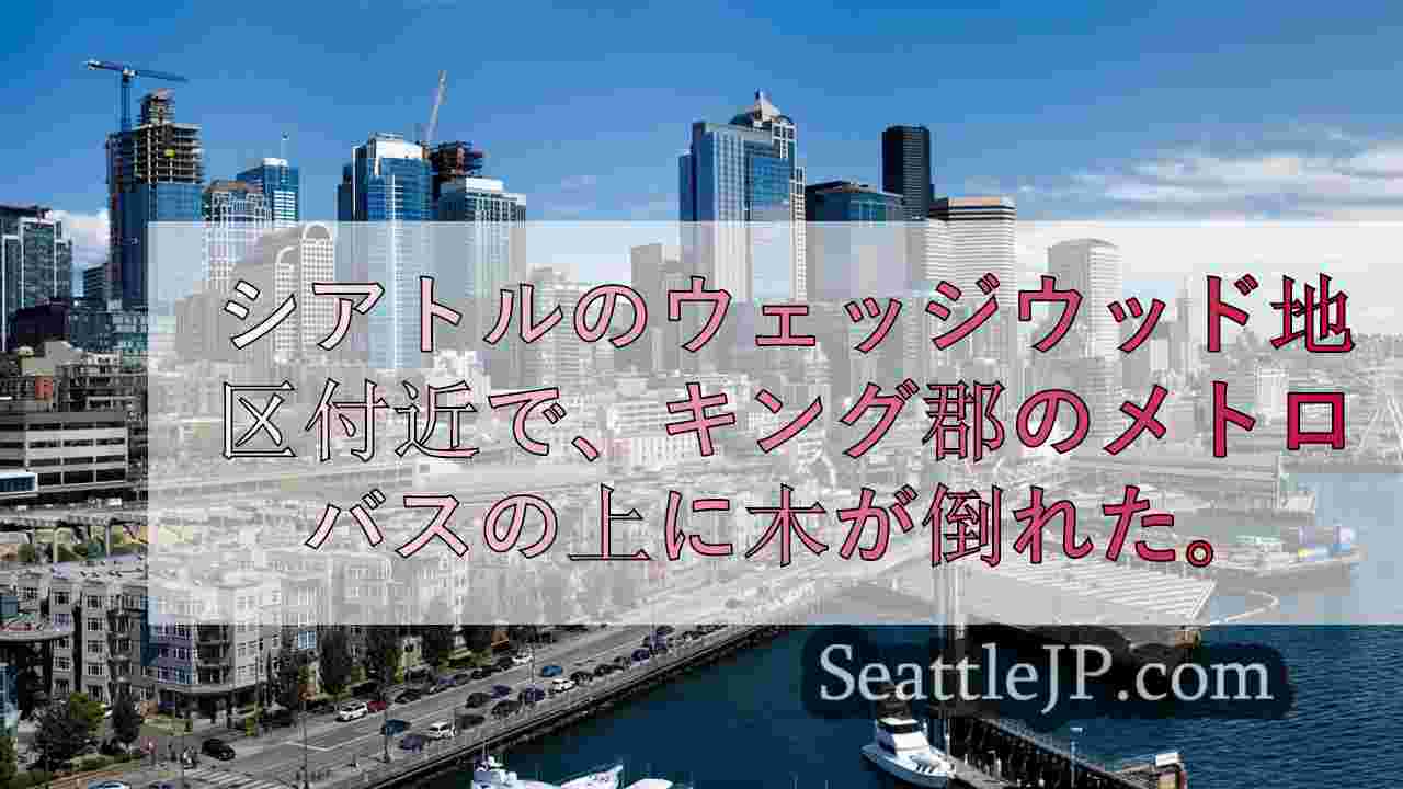 シアトルニュース SeattleJP