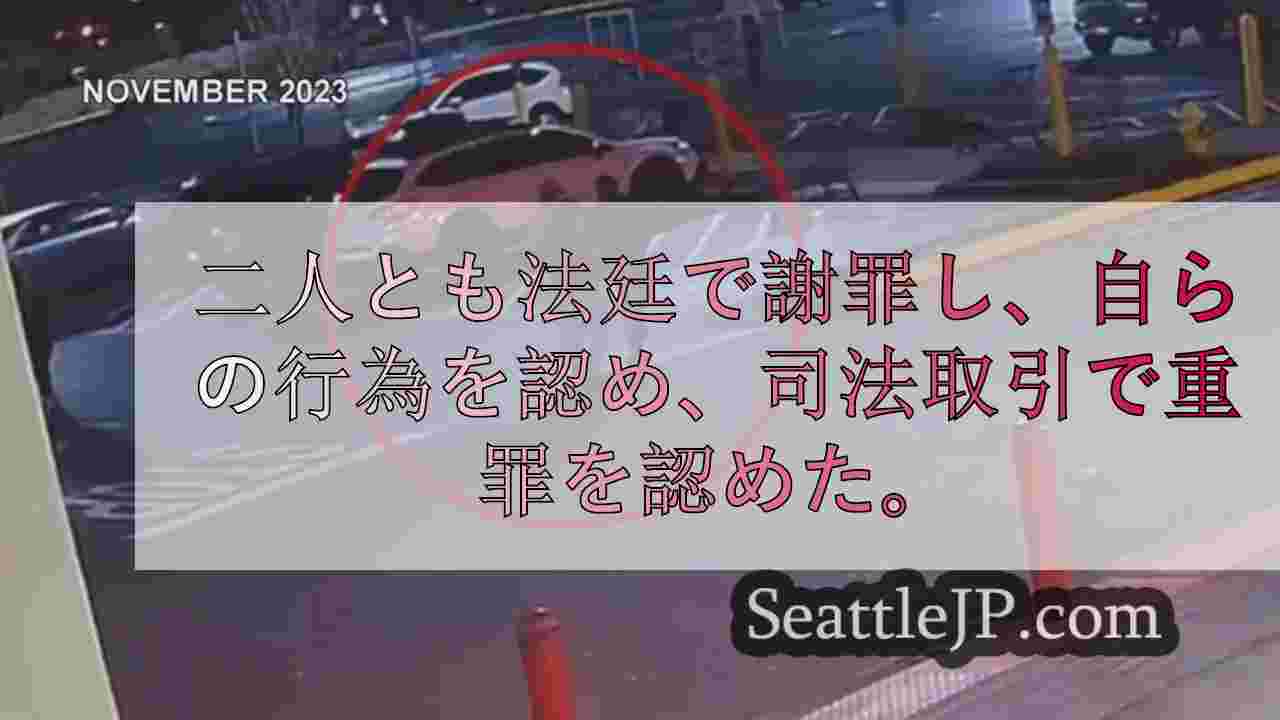 カージャックと銃乱射で傍観者の目を奪ったティーンエイジャーに判決